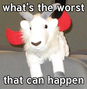 Macro goatforit: what's the worst that can happen