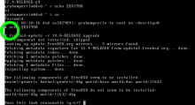 12.4-RELEASE-p9, vi, su -, , freebsd-update -r 14.0-RELEASE upgrade.png (400×738 px, 17 KB)