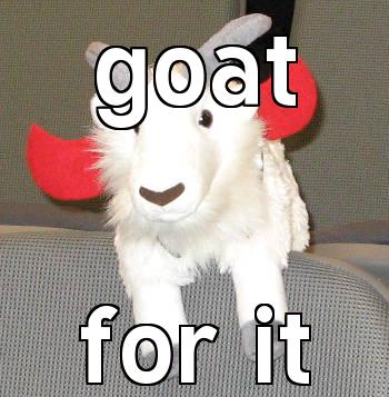 Macro goatforit: goat for it